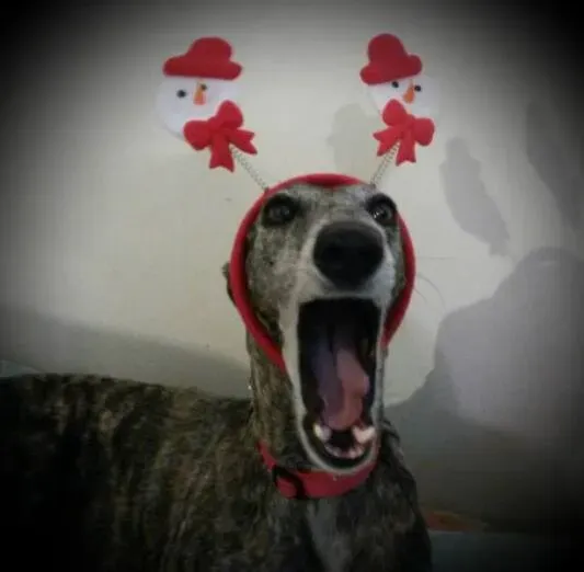 12399380 1023594027660978 2086469248 n