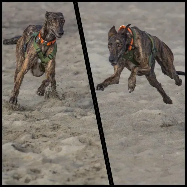 12400475 941066319310557 9159143468075690423 n