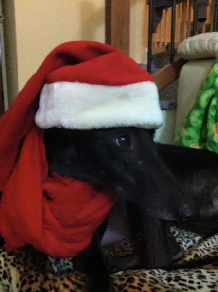 12400504 10205220216126957 2764565819547482525 n