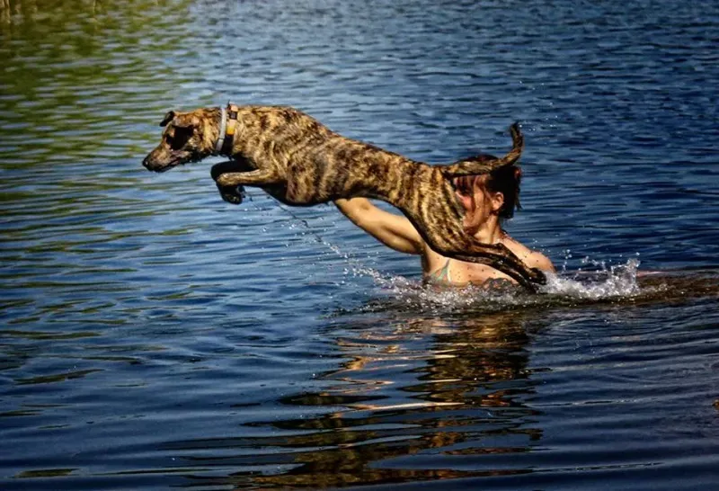 12401000 10207707517278607 4046331614799469142 n