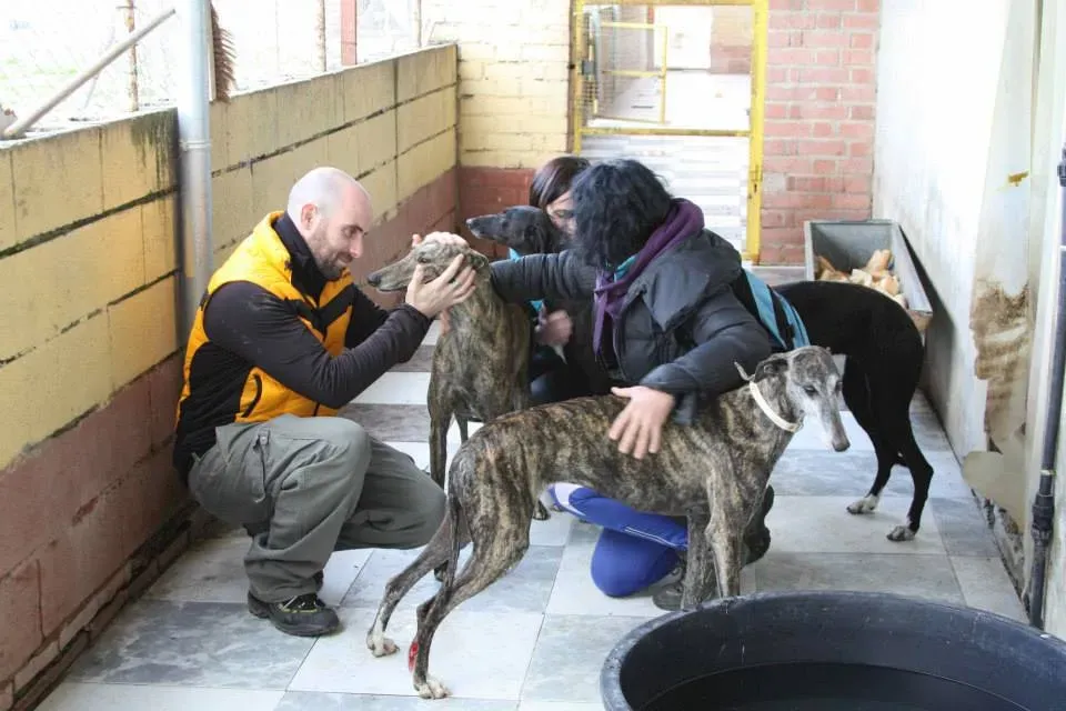 1240346 552260724857787 1862672171 n