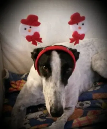 12404102 1023611780992536 990488478 n