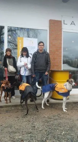 12417513 258409941166581 7702388096097859080 n