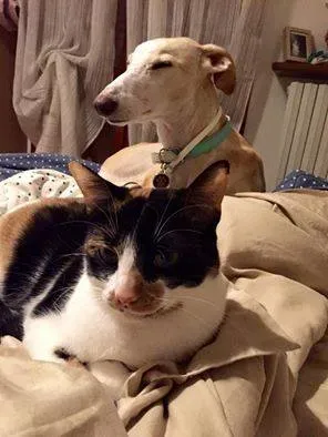 12417541 1001431739940681 6758461248275941230 n