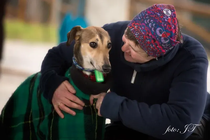 12422453 982386871830716 1635072336 o