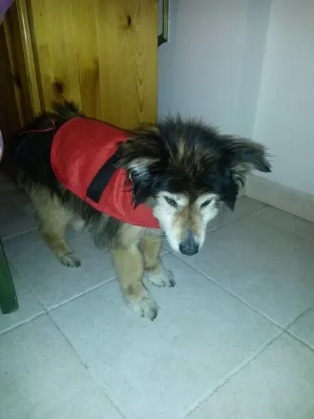 12431573 10206523716469404 1086239324 n