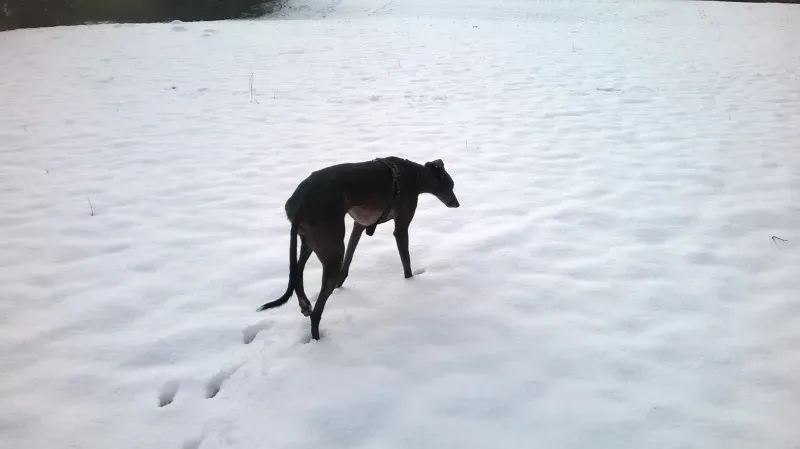 12440793 10208453409235838 7197225442506711096 o