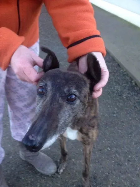 12467959 10153129118970194 2037052004 n