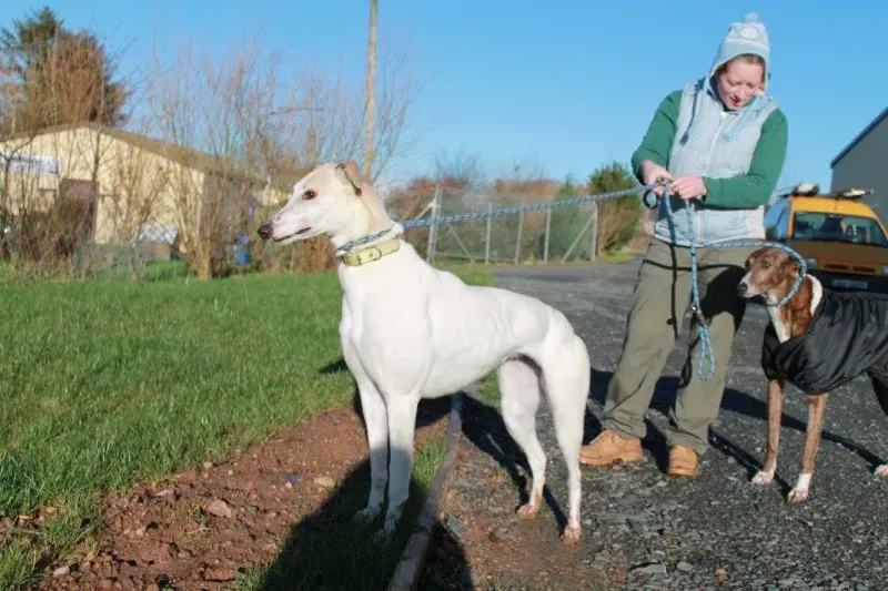 12469652 1144784918872539 4691081920170108581 o