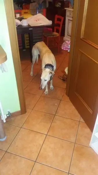 12476184 10207456894532833 813028764 n