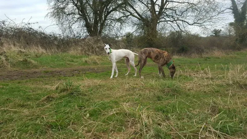 12476785 10207714273988421 888934222 o