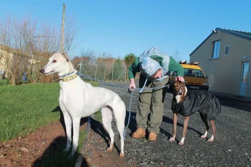 12487168 1144785015539196 178689094295537631 o