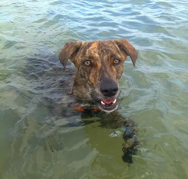 12494782 10207707550799445 4158440096231294210 n