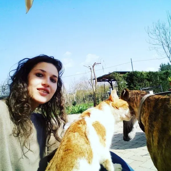 12495055 1001431803274008 2026467164376070182 n