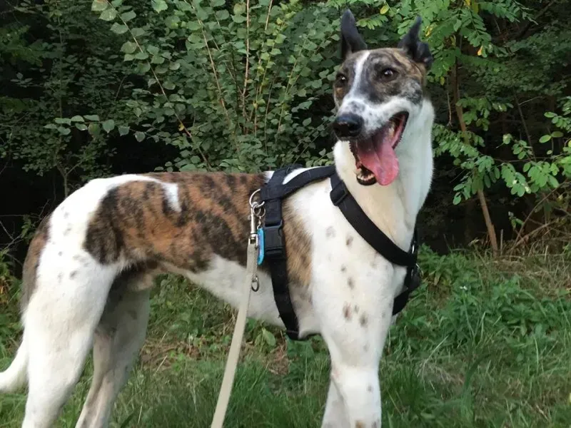 12495055 258409781166597 917675986834228171 n