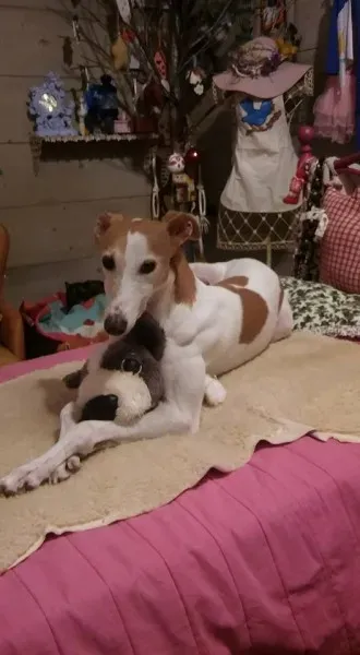 12495154 258811907785238 6797668053959933697 n