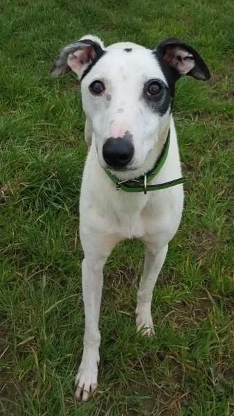 12499031 10207714266668238 506403106 o