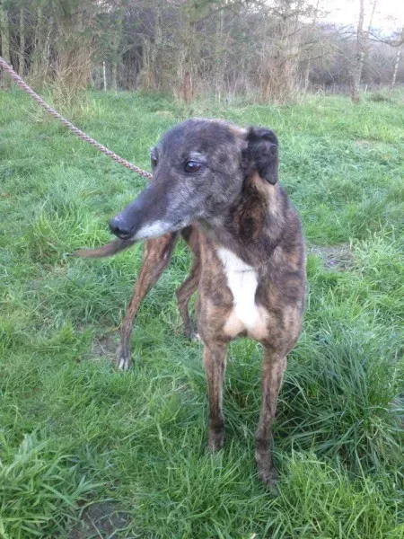 12506938 10153129120065194 132911504 n