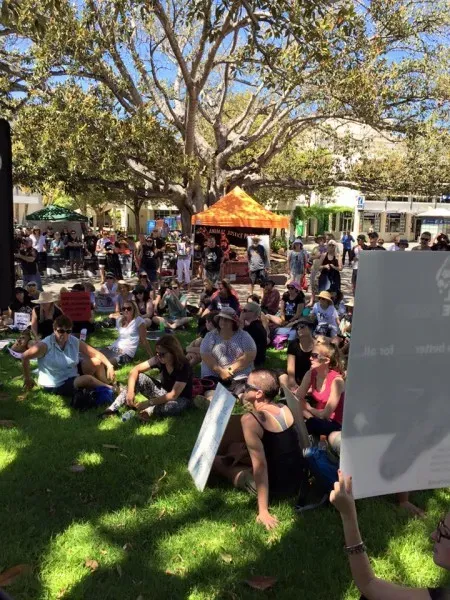 12509004 1047158828703808 1931099615702277455 n