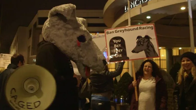 12509621 425991110944525 4685841755607285605 n