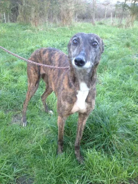 12510008 10153129119600194 1779145753 o