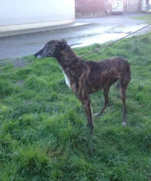 12510670 10153129120705194 1682360513 o