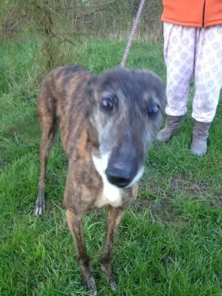 12510990 10153129122775194 313897386 o