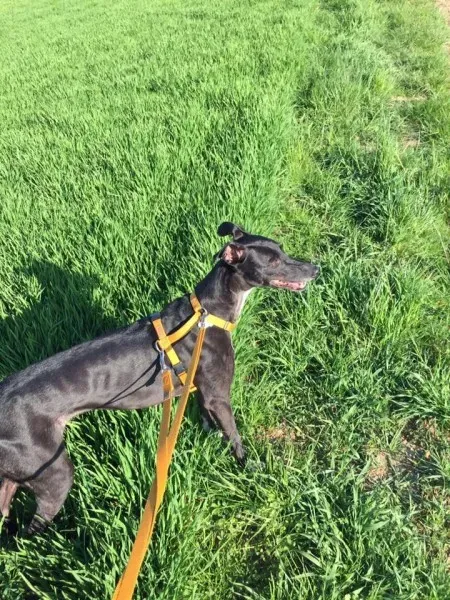 12512373 10208493525112587 3712415142289726554 n