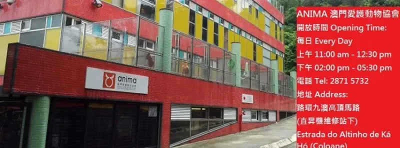 12512435 1055800447811358 882030287601858067 n