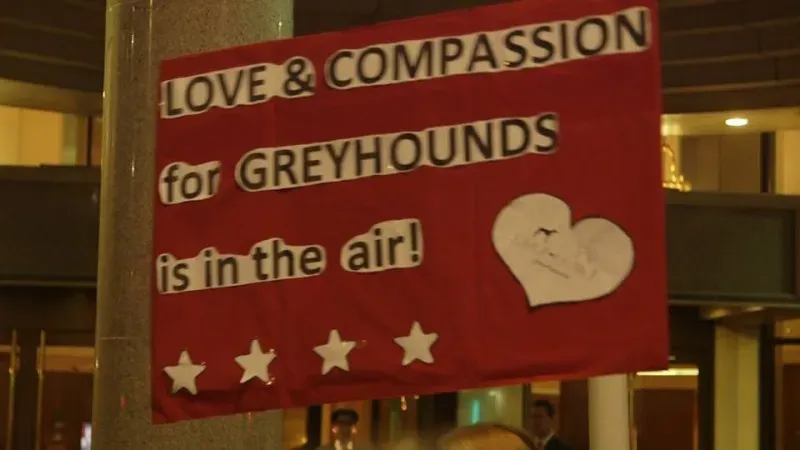 12512569 425993547610948 8218489973587986209 n