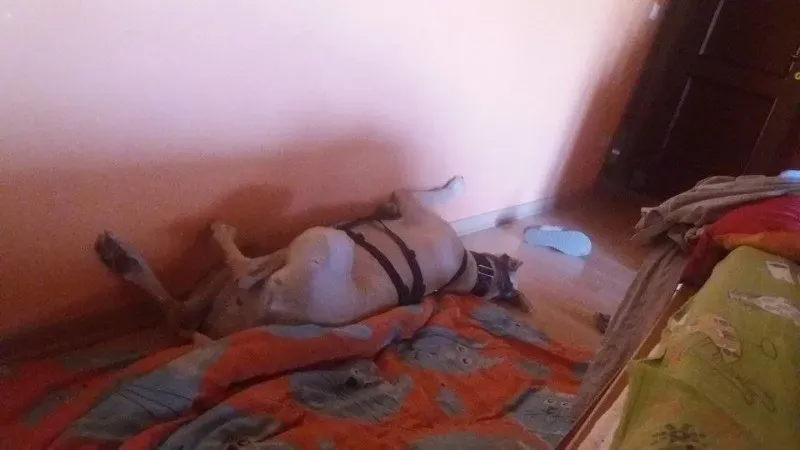 12515994 10207456873972319 512605036 n