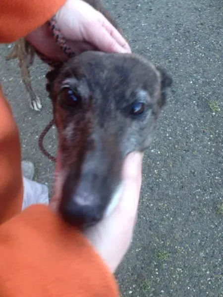 12516531 10153129118625194 273805852 n