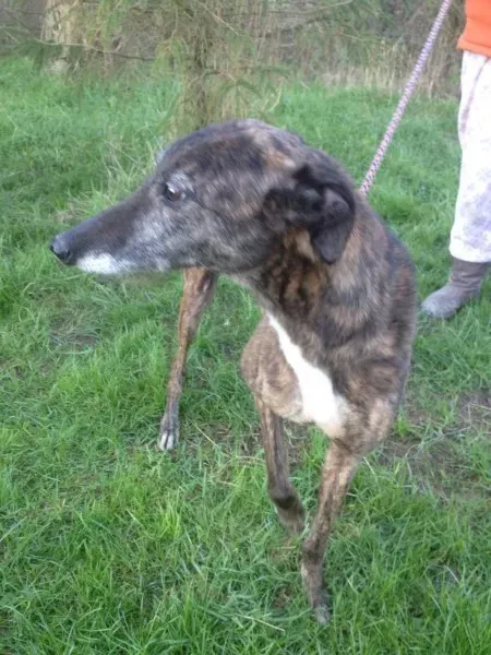 12516632 10153129120865194 889268169 o