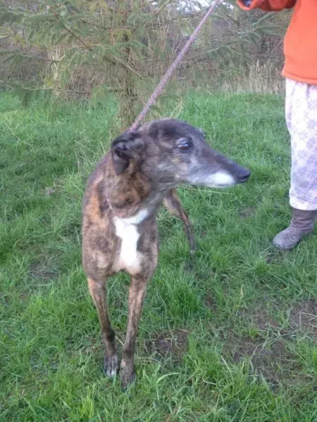 12517034 10153129122940194 1266337732 o