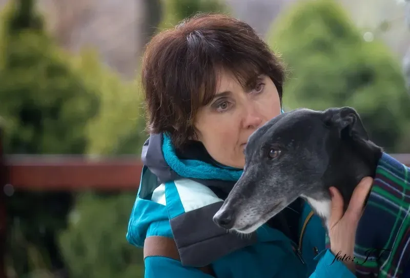 12517079 982388405163896 958167034 o