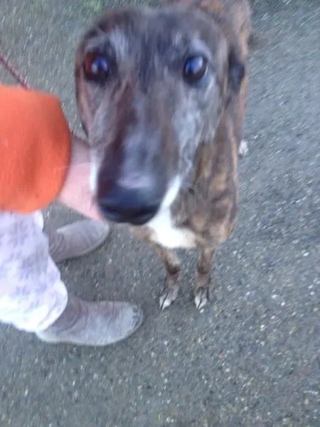 12517166 10153129118395194 836487780 o