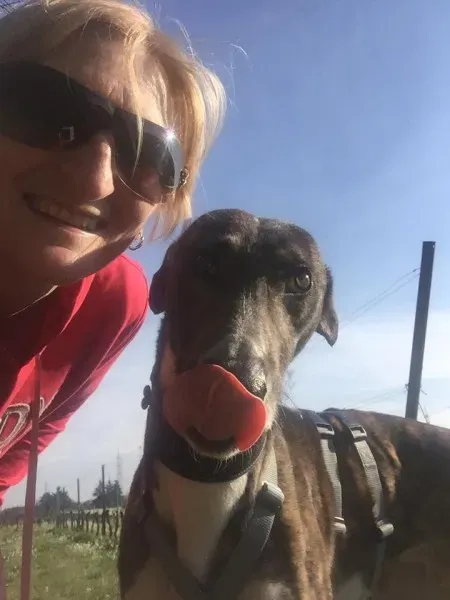 12523836 10206252118445273 5248004895072773229 n