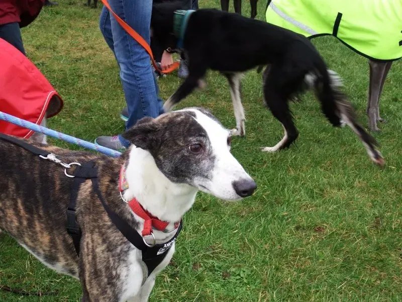 12524052 805191659626242 7916218908910588066 n