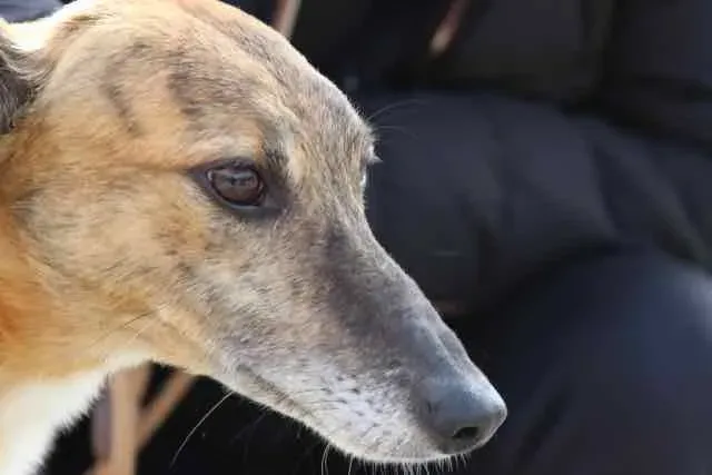 12524153 1016140451803143 1205764238378597499 n