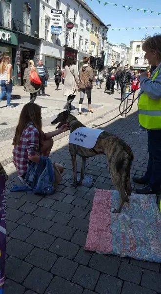 12524161 10208282029301949 6682764840524417926 n