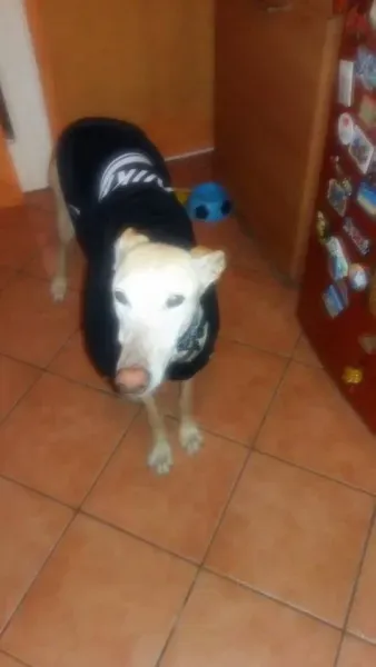 12527775 10207456889212700 680109714 n