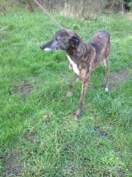 12528053 10153129123105194 999129327 n