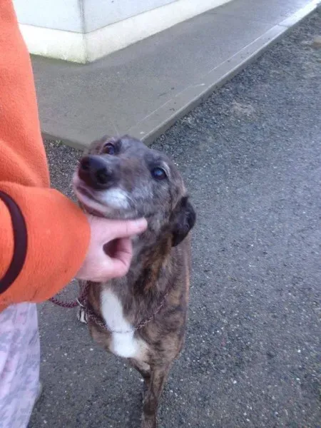 12528118 10153129118830194 939420544 n