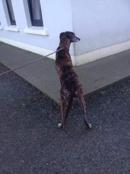 12528401 10153129119240194 487429056 o