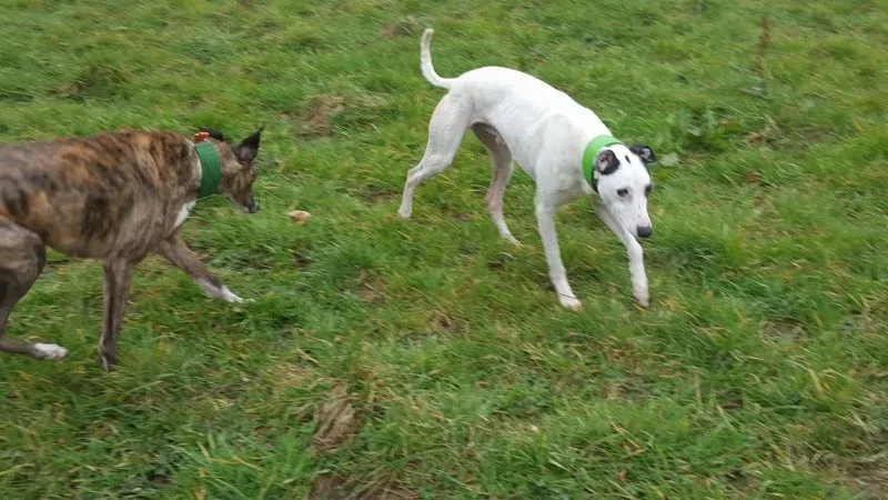 12528458 10207714266228227 1280033171 o