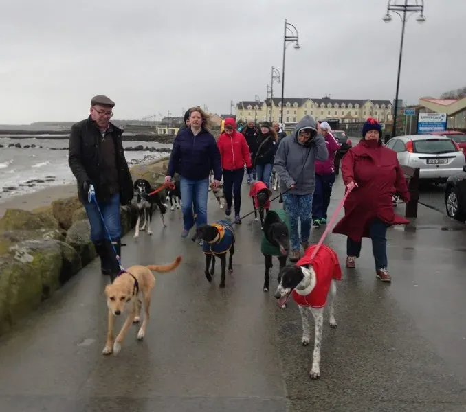 12540533 10153804429240126 1570468032518522969 n