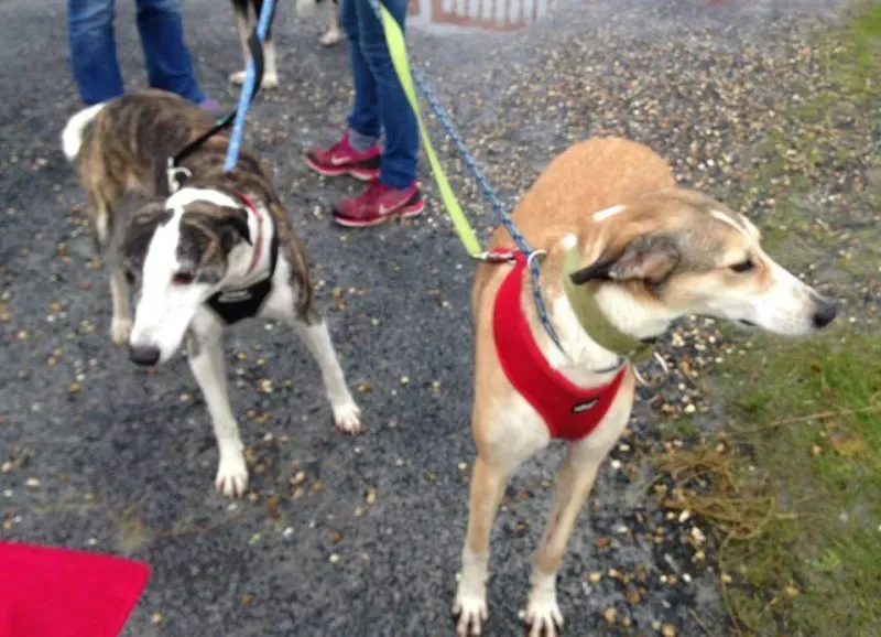 12540931 10153804428665126 7331323397231740182 n