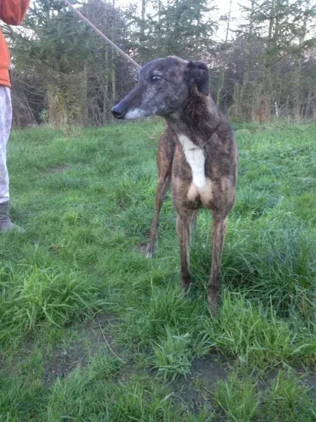 12544057 10153129120435194 666711394 o