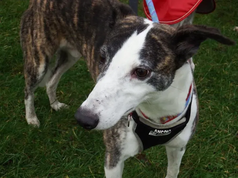 12573159 805191416292933 7117948066137705834 n