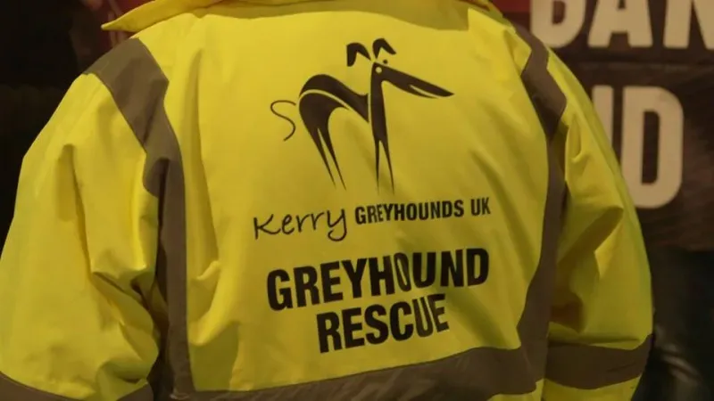 12573665 425991014277868 5087806394322909759 n